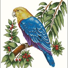 Схема вышивки «Попугай»