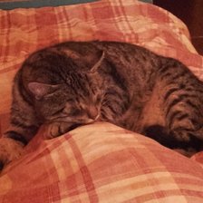 Схема вышивки «Moja Dusia»