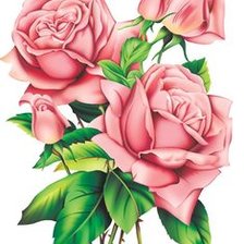 Схема вышивки «Розы»