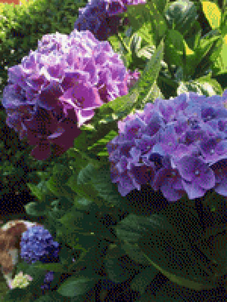 HORTENSIAS - flores - предпросмотр