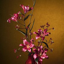 Схема вышивки «Цветок»