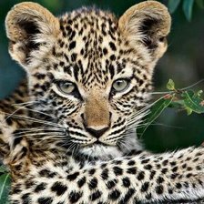 Схема вышивки «Малыш»