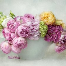 Схема вышивки «№2619206»