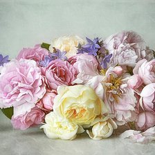 Схема вышивки «№2619219»