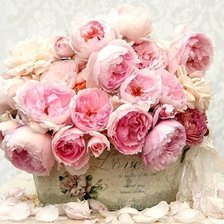 Схема вышивки «№2619294»