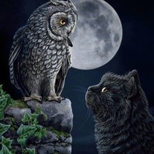 Схема вышивки «Кот и Сова»
