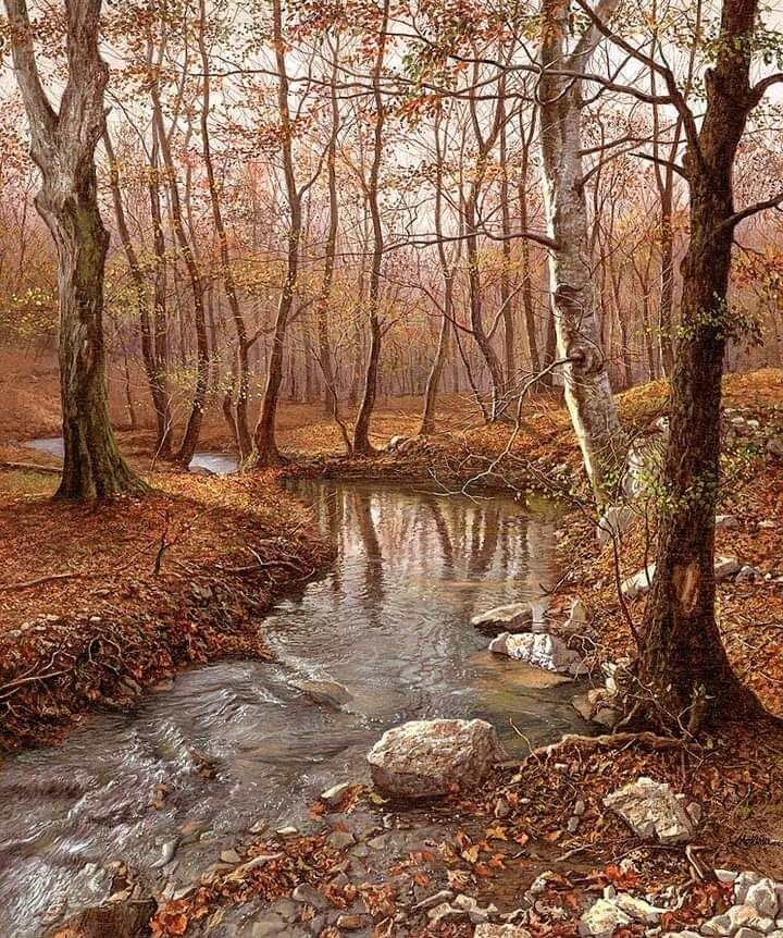 Река в лесу - пейзаж - оригинал