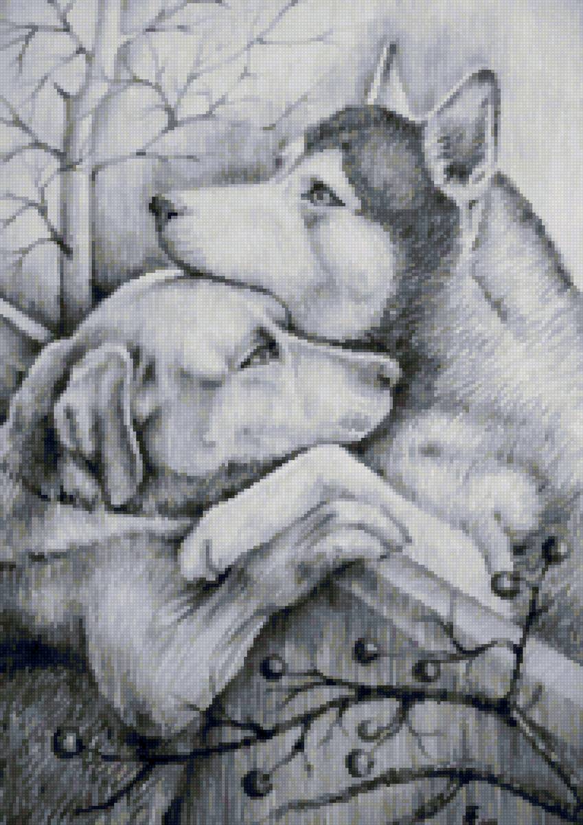 Рисунок - собаки, грусть, любовь, верность - предпросмотр