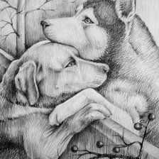 Схема вышивки «Рисунок»