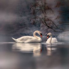 Схема вышивки «№2622214»