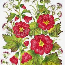 Схема вышивки «Петриковская роспись»