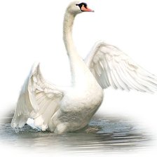 Схема вышивки «№2623837»