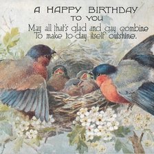 Схема вышивки «Гнездо»