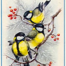 Схема вышивки «Птици»