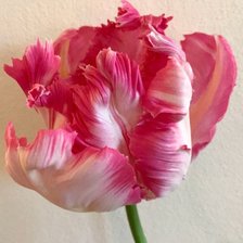 Схема вышивки «№2623930»