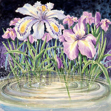 Схема вышивки «Ирисы»