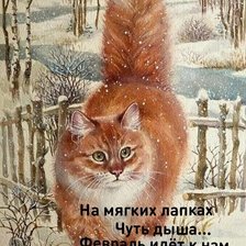 Схема вышивки «Рыжий кот»