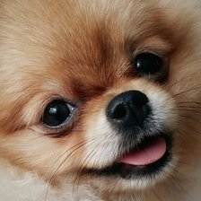 Схема вышивки «Моника»