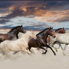 Схема вышивки «Лошади»