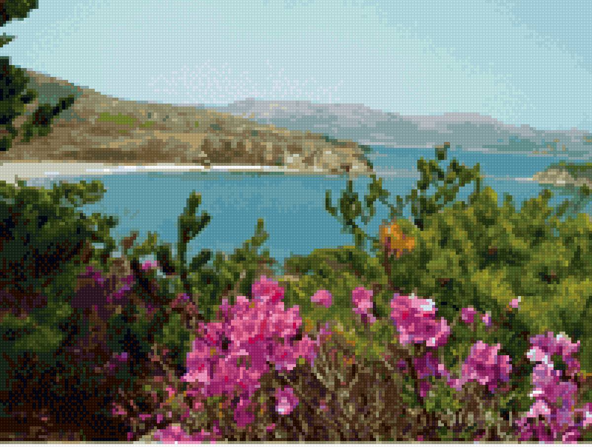 Природа - деревья, небо, природа, сакура, море - предпросмотр