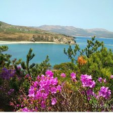 Схема вышивки «Природа»