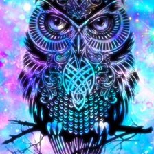 Схема вышивки «Сова»