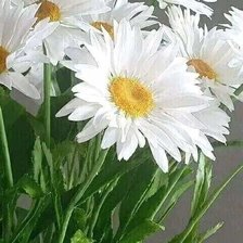 Схема вышивки «№2624871»