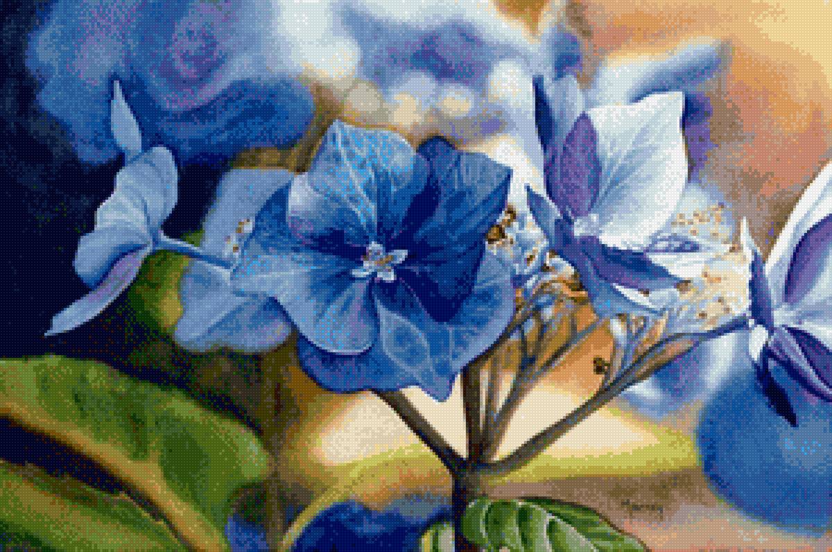 Flori - flori - предпросмотр