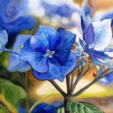 Схема вышивки «Flori»