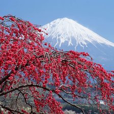 Схема вышивки «Весна-красна»