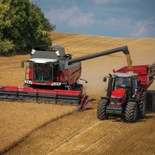 Схема вышивки «Поле с комбайном»