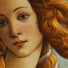 Схема вышивки «venus»