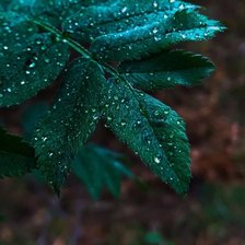 Схема вышивки ««Умиротворение»»