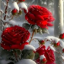 Схема вышивки «№2625359»