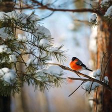 Схема вышивки «Снигирь на ветке»