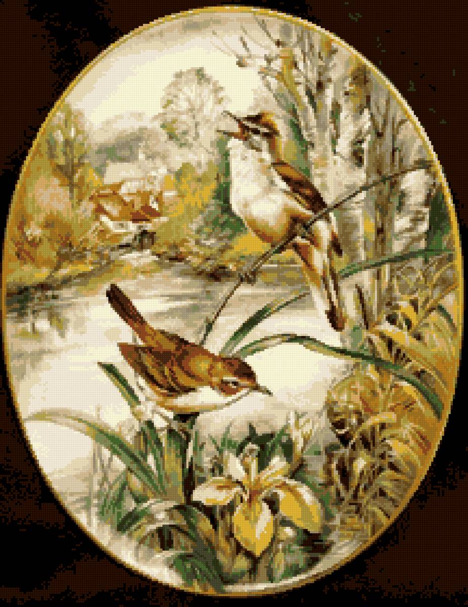 Песня для нее - река, ирисы, трава, деревня, птицы - предпросмотр