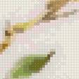 Предпросмотр схемы вышивки «Цветы и птицы» (№2625884)