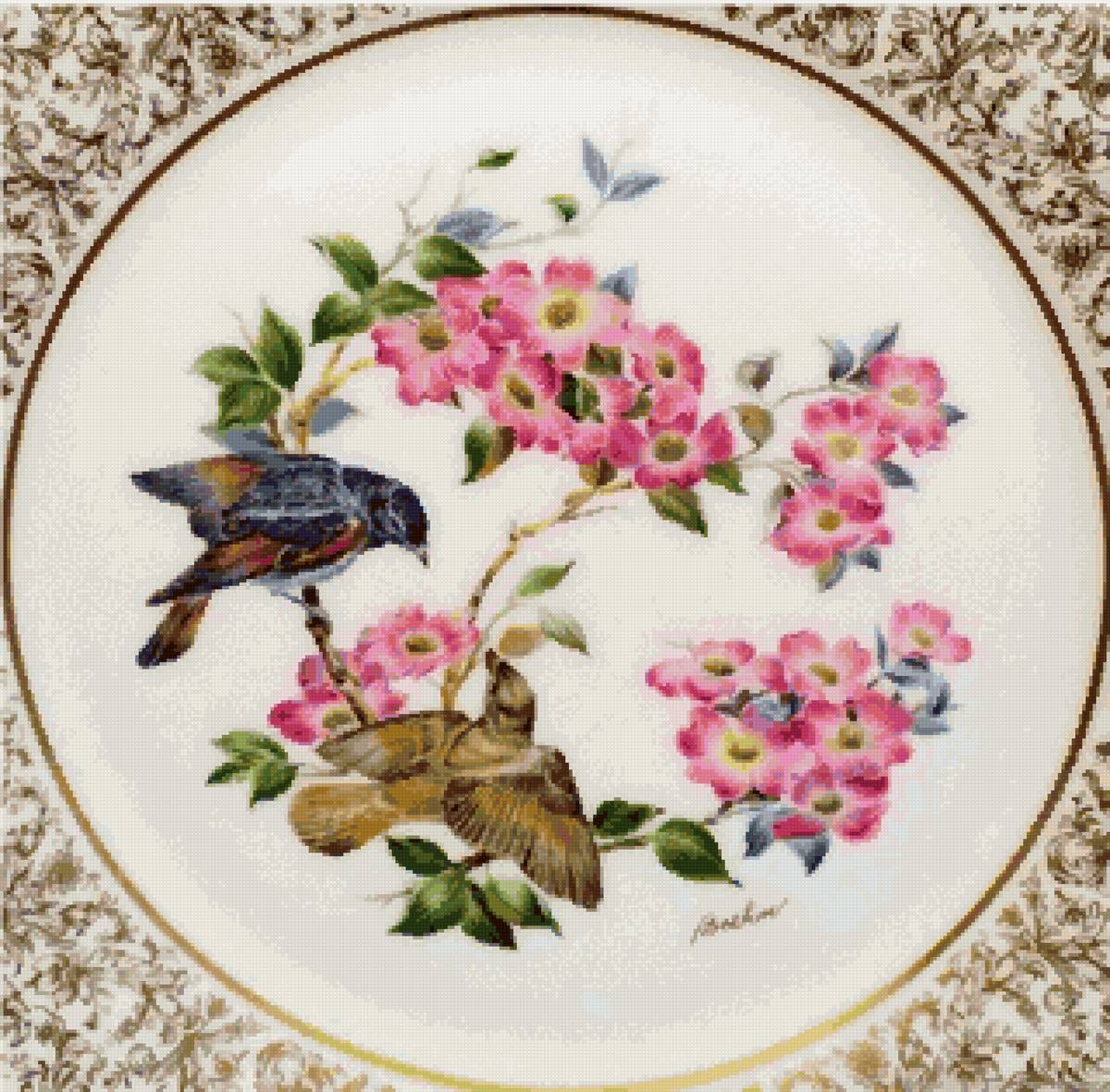 Цветы и птицы - лето, птицы, шиповник, веточки - предпросмотр