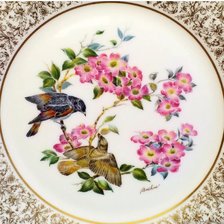 Схема вышивки «Цветы и птицы»