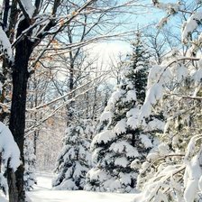 Схема вышивки «№2626015»