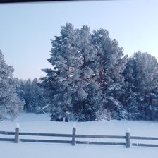 Вид из окна