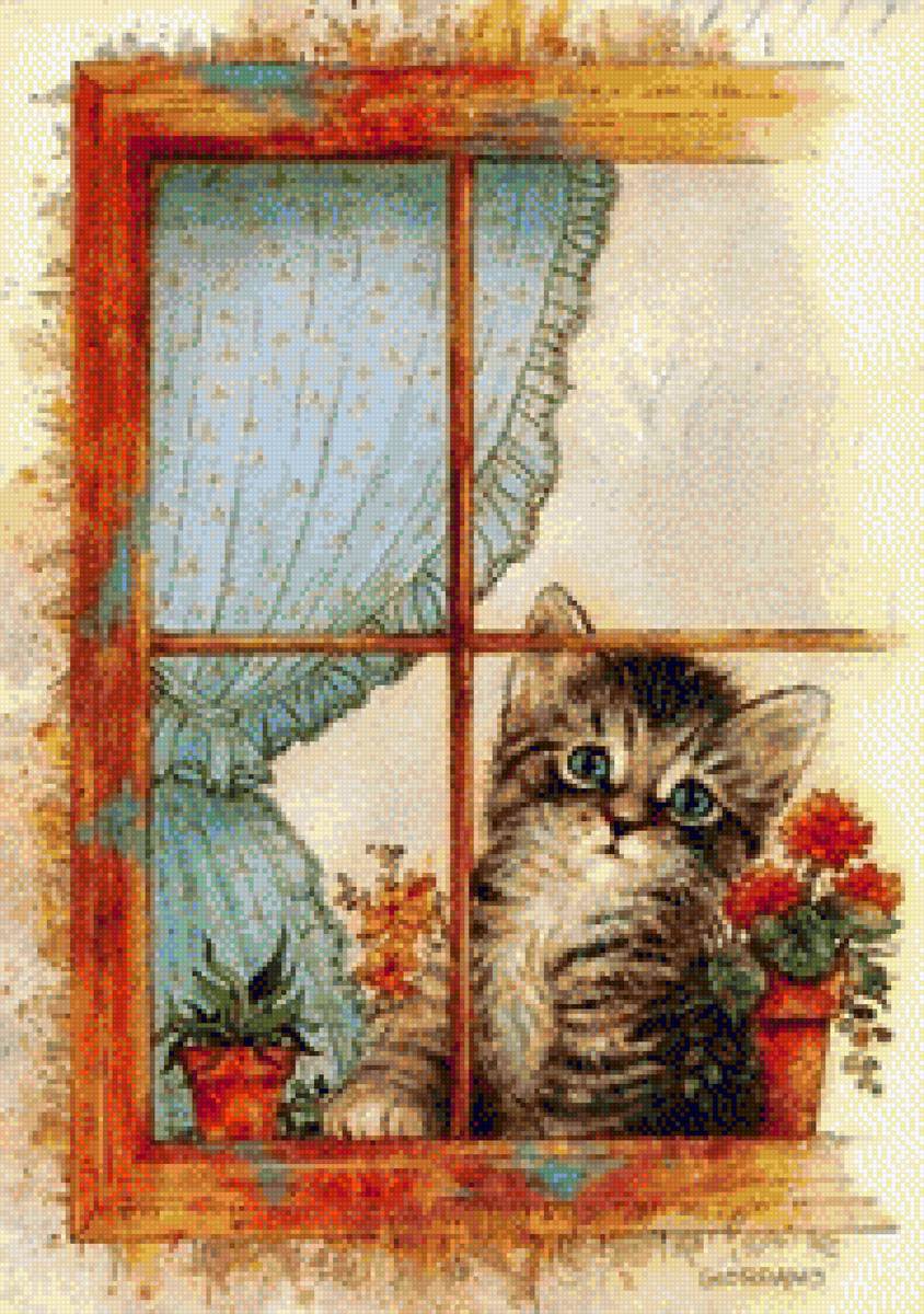 Gatos - предпросмотр