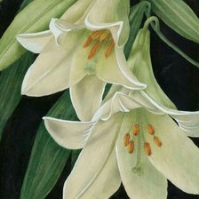 Схема вышивки «№2626890»