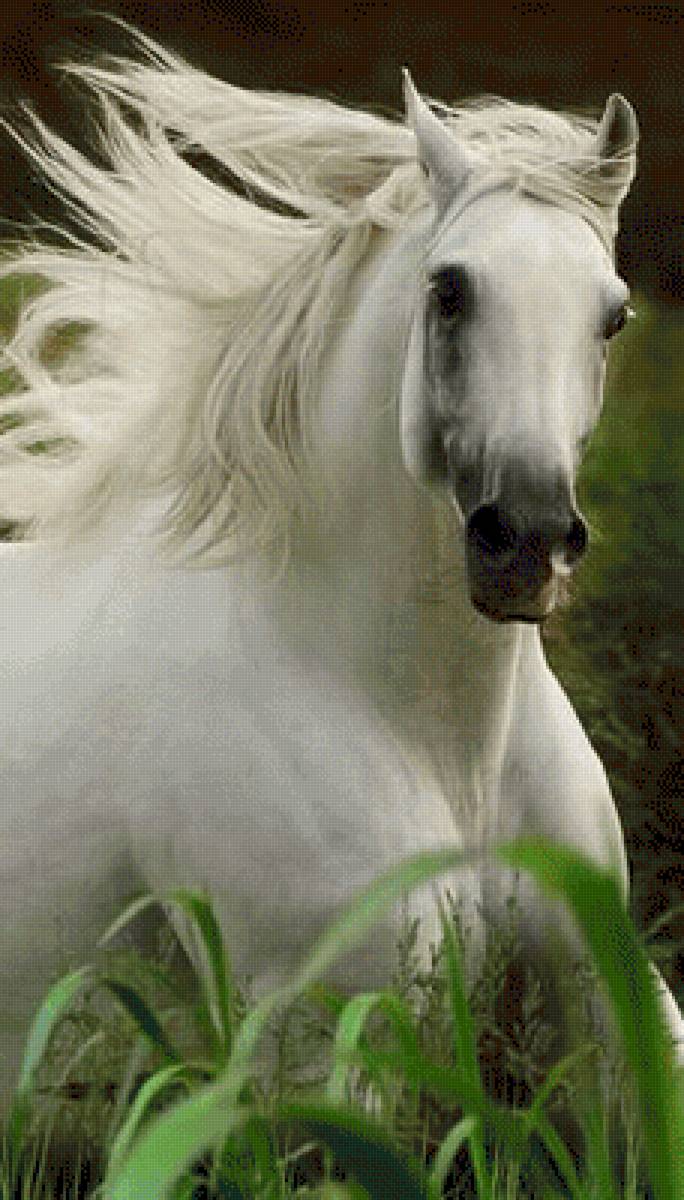 №2626910 - предпросмотр