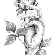 Схема вышивки «Роза»