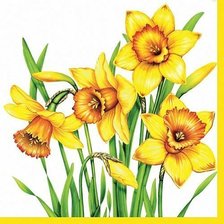 Схема вышивки «Желтые нарциссы»