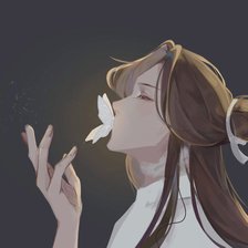 Схема вышивки «Се Лянь»