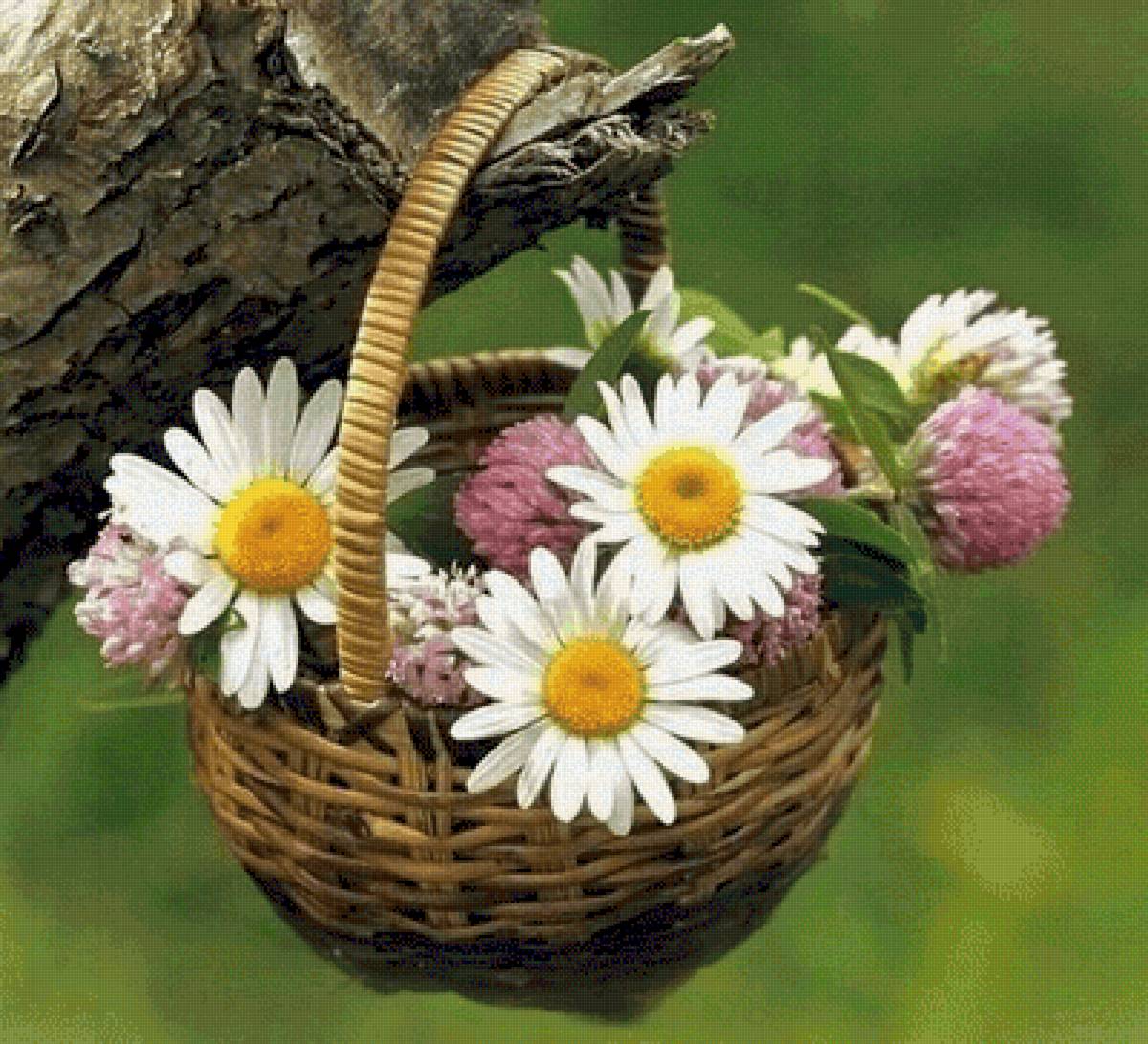 №2627511 - предпросмотр