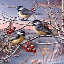 Схема вышивки «№2627835»