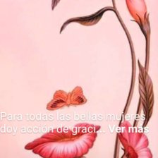 Схема вышивки «rostro»